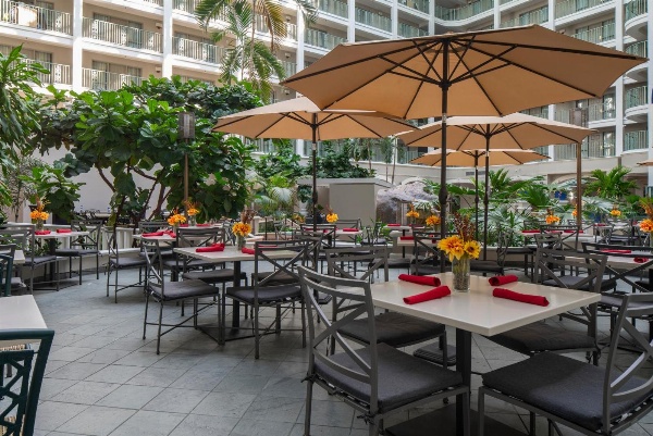 Sheraton Suites Fort Lauderdale At Cypress Creek Main image